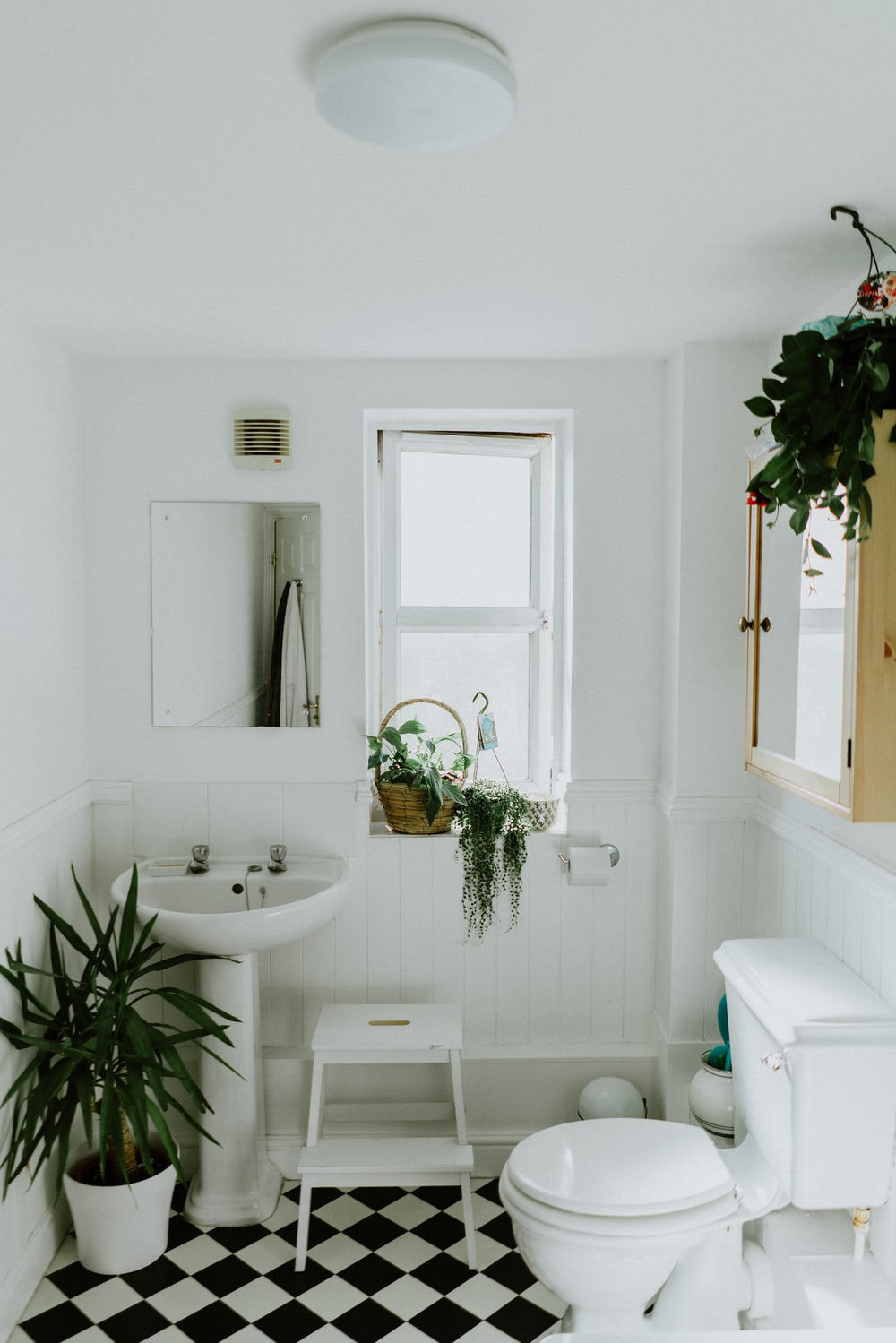 Living with Roommates Bathroom Rules Made Easy